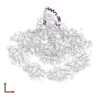 Photosystem I reaction center subunit VI-2, chloroplastic in PDB entry 7wfd, assembly 1, front view.