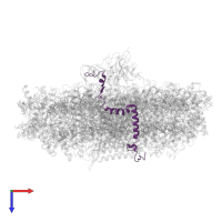 Photosystem I reaction center subunit VI-2, chloroplastic in PDB entry 7wfd, assembly 1, top view.