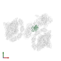 Photosynthetic NDH subunit of subcomplex B 1, chloroplastic in PDB entry 7wg5, assembly 1, front view.