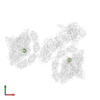 Photosystem I reaction center subunit IV A, chloroplastic in PDB entry 7wg5, assembly 1, front view.