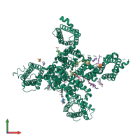 PDB entry 7wlk coloured by chain, front view.