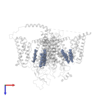 CHOLESTEROL HEMISUCCINATE in PDB entry 7wlk, assembly 1, top view.