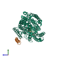 PDB entry 7wmv coloured by chain, side view.