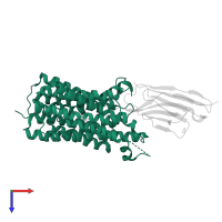 Equilibrative nucleoside/nucleobase transporter in PDB entry 7wn1, assembly 1, top view.