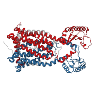 The deposited structure of PDB entry 7wnx contains 2 copies of Pfam domain PF03176 (MMPL family) in Trehalose monomycolate exporter MmpL3. Showing 2 copies in chain A.