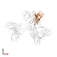 83H7 light chain in PDB entry 7wp6, assembly 1, front view.