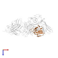 83H7 light chain in PDB entry 7wp6, assembly 1, top view.