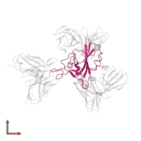 Spike protein S1 in PDB entry 7wp6, assembly 1, front view.