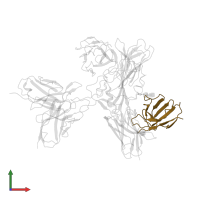 85F7 light chain in PDB entry 7wp6, assembly 1, front view.