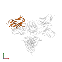 83H7 heavy chain in PDB entry 7wp8, assembly 1, front view.