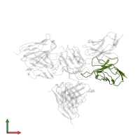 2B4 light chain in PDB entry 7wp8, assembly 1, front view.