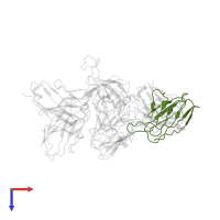 2B4 light chain in PDB entry 7wp8, assembly 1, top view.