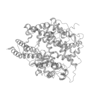 The deposited structure of PDB entry 7wsg contains 1 copy of Pfam domain PF16959 (Renal amino acid transporter) in Angiotensin-converting enzyme. Showing 1 copy in chain A (this domain is out of the observed residue ranges!).