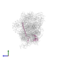 Small ribosomal subunit protein eS6 in PDB entry 7wtx, assembly 1, side view.