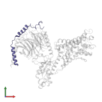 Guanine nucleotide-binding protein G(I)/G(S)/G(O) subunit gamma-2 in PDB entry 7wu5, assembly 1, front view.