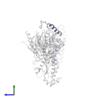 Guanine nucleotide-binding protein G(I)/G(S)/G(O) subunit gamma-2 in PDB entry 7wu5, assembly 1, side view.