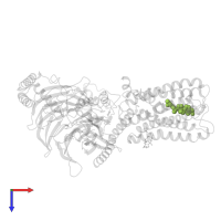 CHOLESTEROL in PDB entry 7wu5, assembly 1, top view.