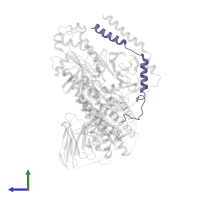 Guanine nucleotide-binding protein G(I)/G(S)/G(O) subunit gamma-2 in PDB entry 7wv9, assembly 1, side view.