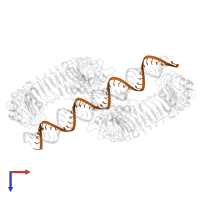 RNA (46-MER) in PDB entry 7wve, assembly 1, top view.