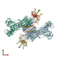 PDB entry 7wyz coloured by chain, front view.