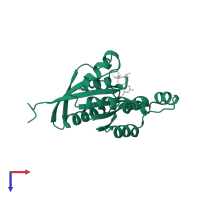 Transforming protein RhoA in PDB entry 7wza, assembly 1, top view.