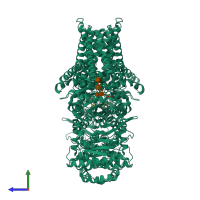 Homo dimeric assembly 1 of PDB entry 7x05 coloured by chemically distinct molecules, side view.