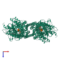 Homo dimeric assembly 1 of PDB entry 7x05 coloured by chemically distinct molecules, top view.