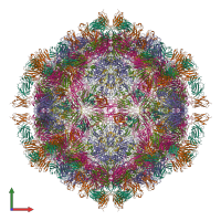 Hetero 360-meric assembly 1 of PDB entry 7x2i coloured by chemically distinct molecules, front view.