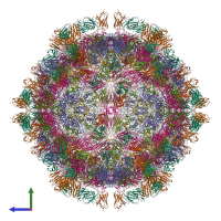 Hetero 360-meric assembly 1 of PDB entry 7x2i coloured by chemically distinct molecules, side view.