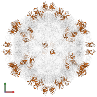 2E6 heavy chain in PDB entry 7x2i, assembly 1, front view.