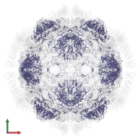 Virion protein 1 in PDB entry 7x2i, assembly 1, front view.