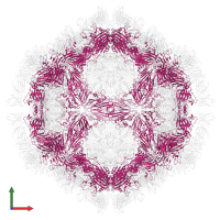 VP2 in PDB entry 7x2i, assembly 1, front view.