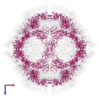 VP2 in PDB entry 7x2i, assembly 1, top view.