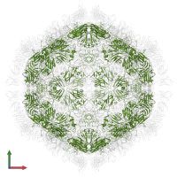 VP3 in PDB entry 7x2i, assembly 1, front view.