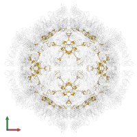 Capsid protein VP4 in PDB entry 7x2i, assembly 1, front view.