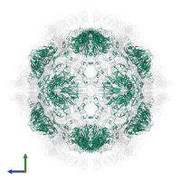 Virion protein 1 in PDB entry 7x2o, assembly 1, side view.