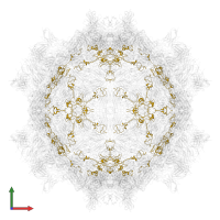 Capsid protein VP4 in PDB entry 7x2w, assembly 1, front view.