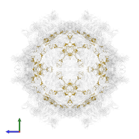 Capsid protein VP4 in PDB entry 7x2w, assembly 1, side view.