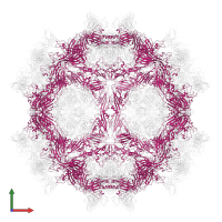 VP2 in PDB entry 7x38, assembly 1, front view.