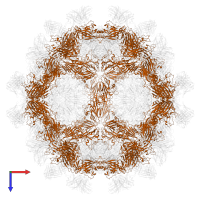 VP2 in PDB entry 7x3d, assembly 1, top view.