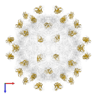 9A3 light chain in PDB entry 7x3d, assembly 1, top view.