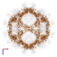 VP2 in PDB entry 7x3e, assembly 1, top view.