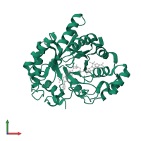 Aldo-keto reductase family 1 member C3 in PDB entry 7x3l, assembly 1, front view.