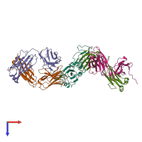 Hetero pentameric assembly 1 of PDB entry 7xcz coloured by chemically distinct molecules, top view.