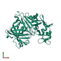 Renin in PDB entry 7xgo, assembly 1, front view.