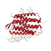 The deposited structure of PDB entry 7xjc contains 1 copy of Pfam domain PF01036 (Bacteriorhodopsin-like protein) in Bacteriorhodopsin. Showing 1 copy in chain A.