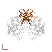 ORF8 protein in PDB entry 7xmn, assembly 1, front view.