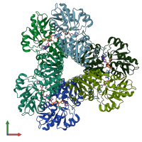 PDB entry 7xmv coloured by chain, front view.