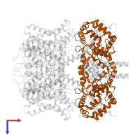 Calmodulin-3 in PDB entry 7xnk, assembly 1, top view.