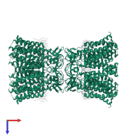 Gap junction delta-2 protein in PDB entry 7xnv, assembly 1, top view.